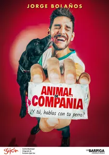 Animal de compañía · Gijón
