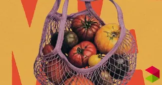 Feria Nacional del Tomate Antiguo Polanco 2026