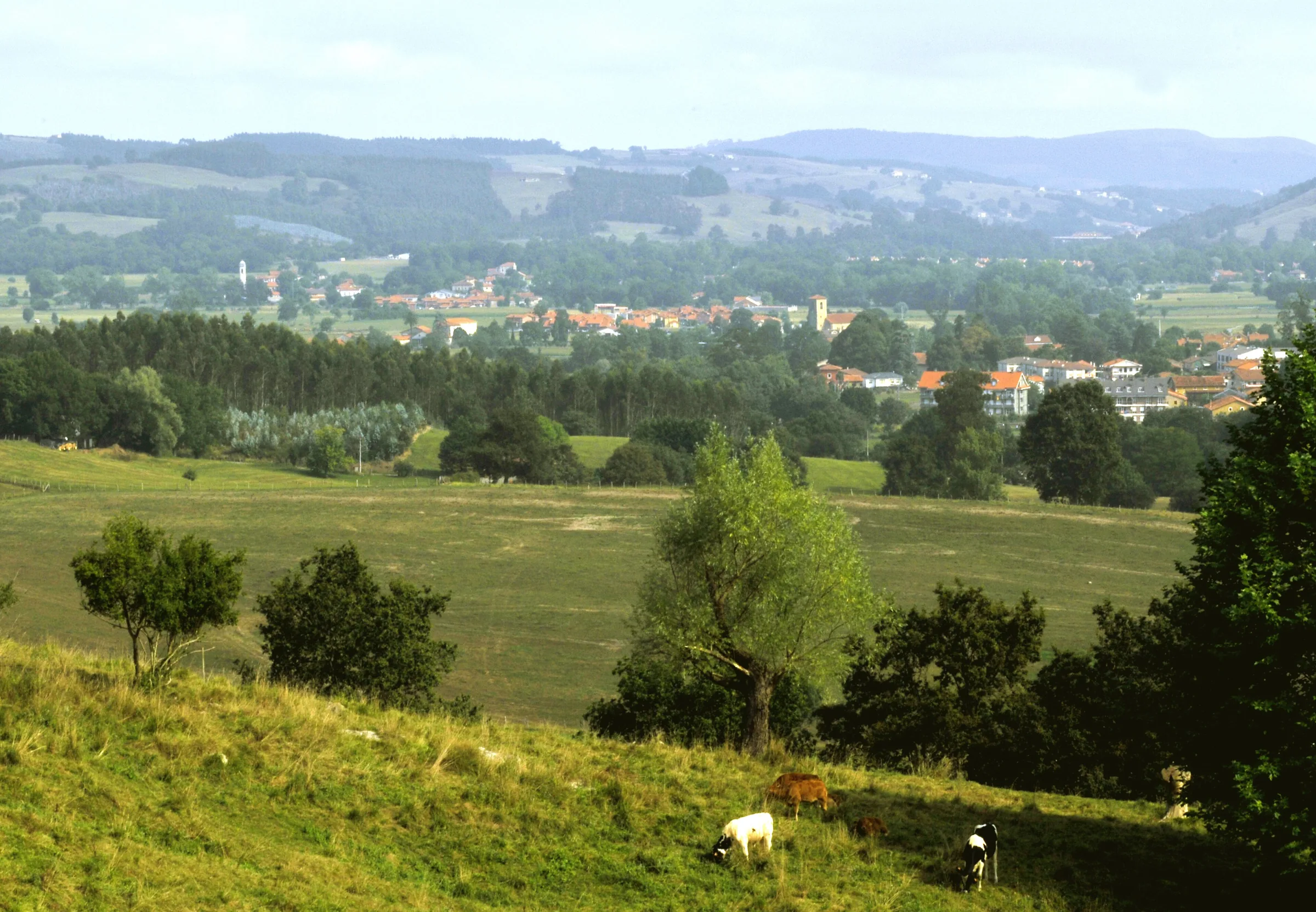 Vista de Solórzano