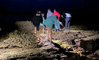 Noches vivas en Oyambre: secretos del intermareal · San Vicente de la Barquera