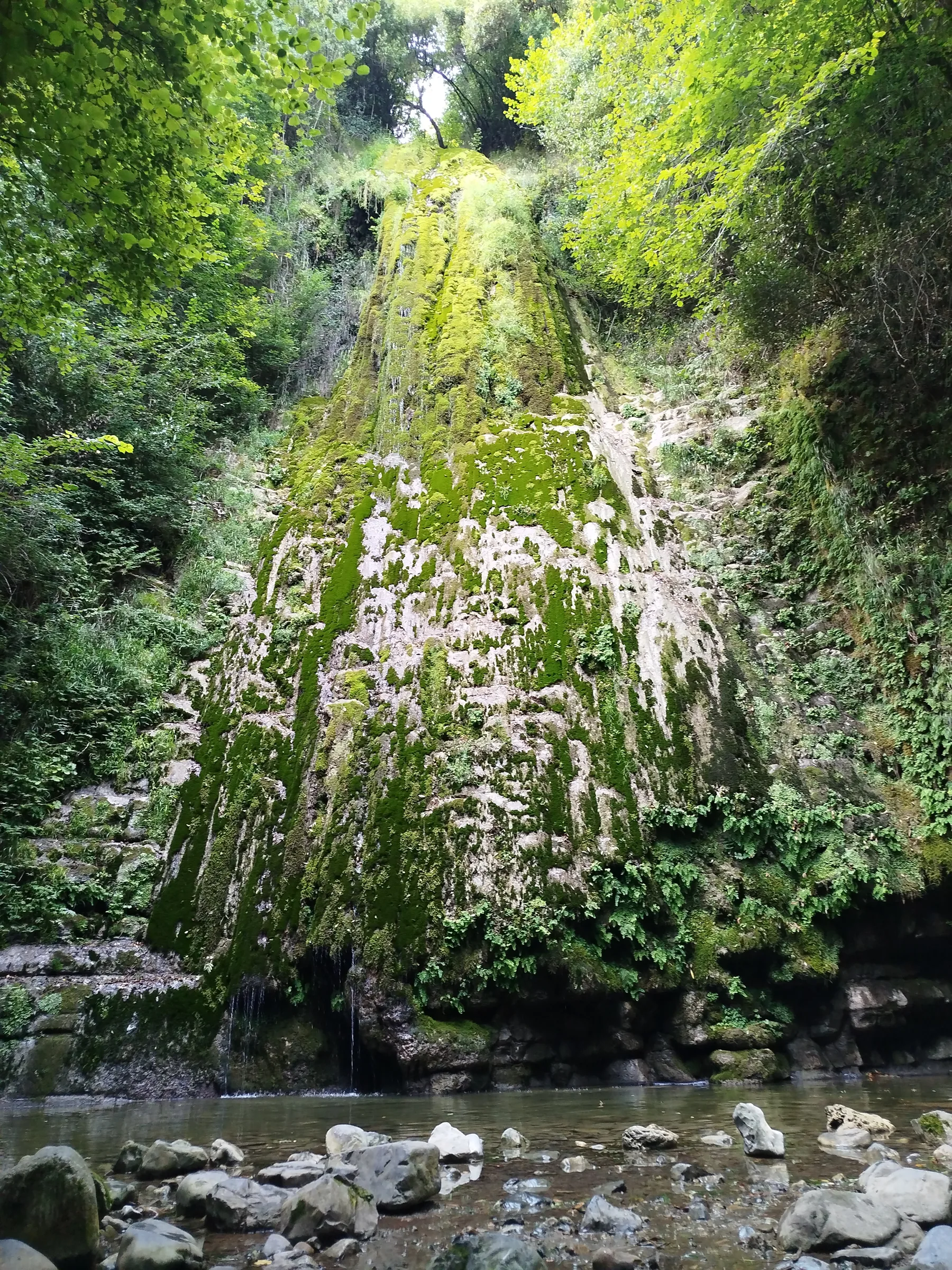 Churrón de Borleña