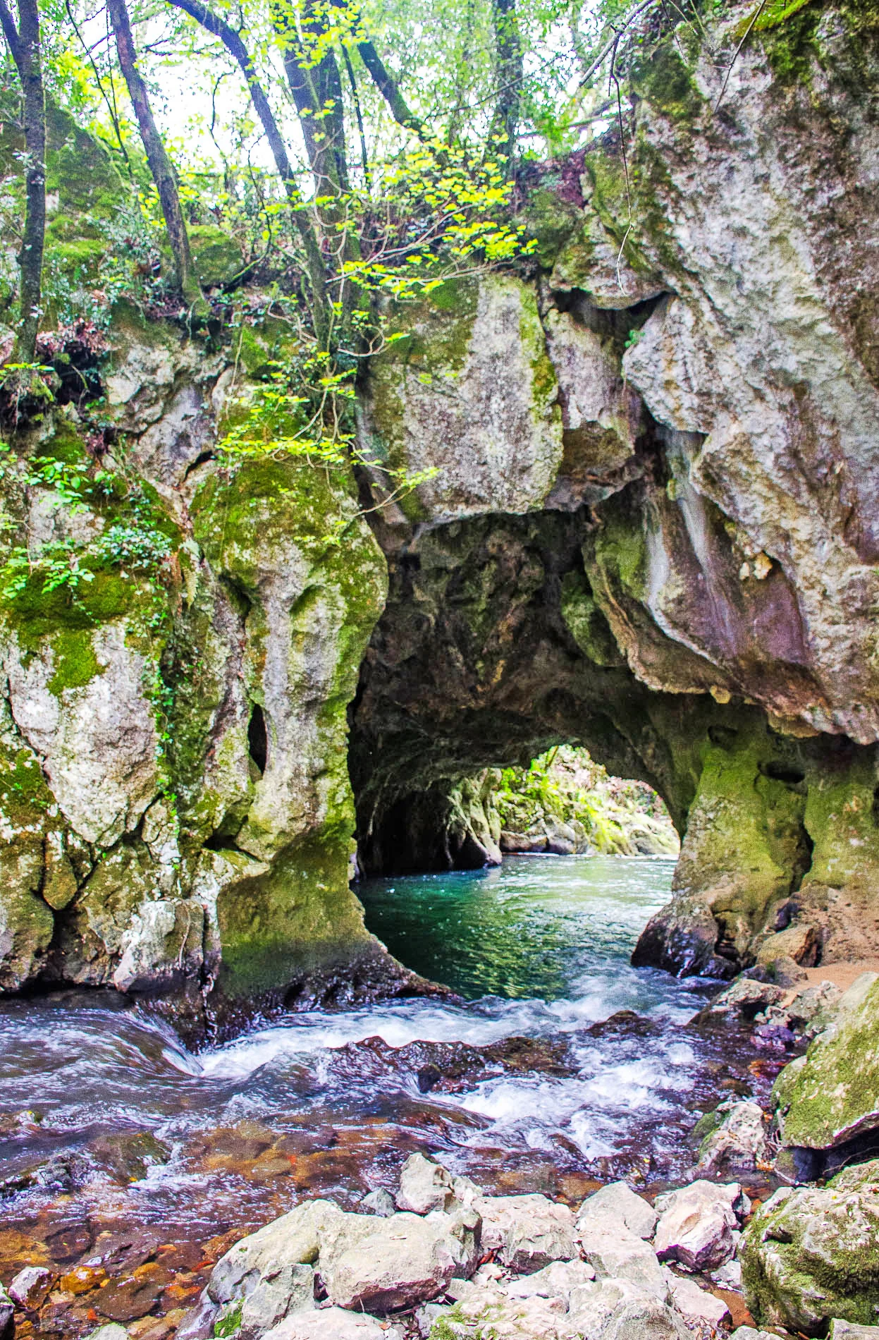 Fuente del Francés (Hoznayo)