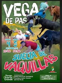 Suelta de Vaquillas · Vega de Pas