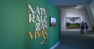 Taller en familia: «Naturalezas Vivas» · Avilés